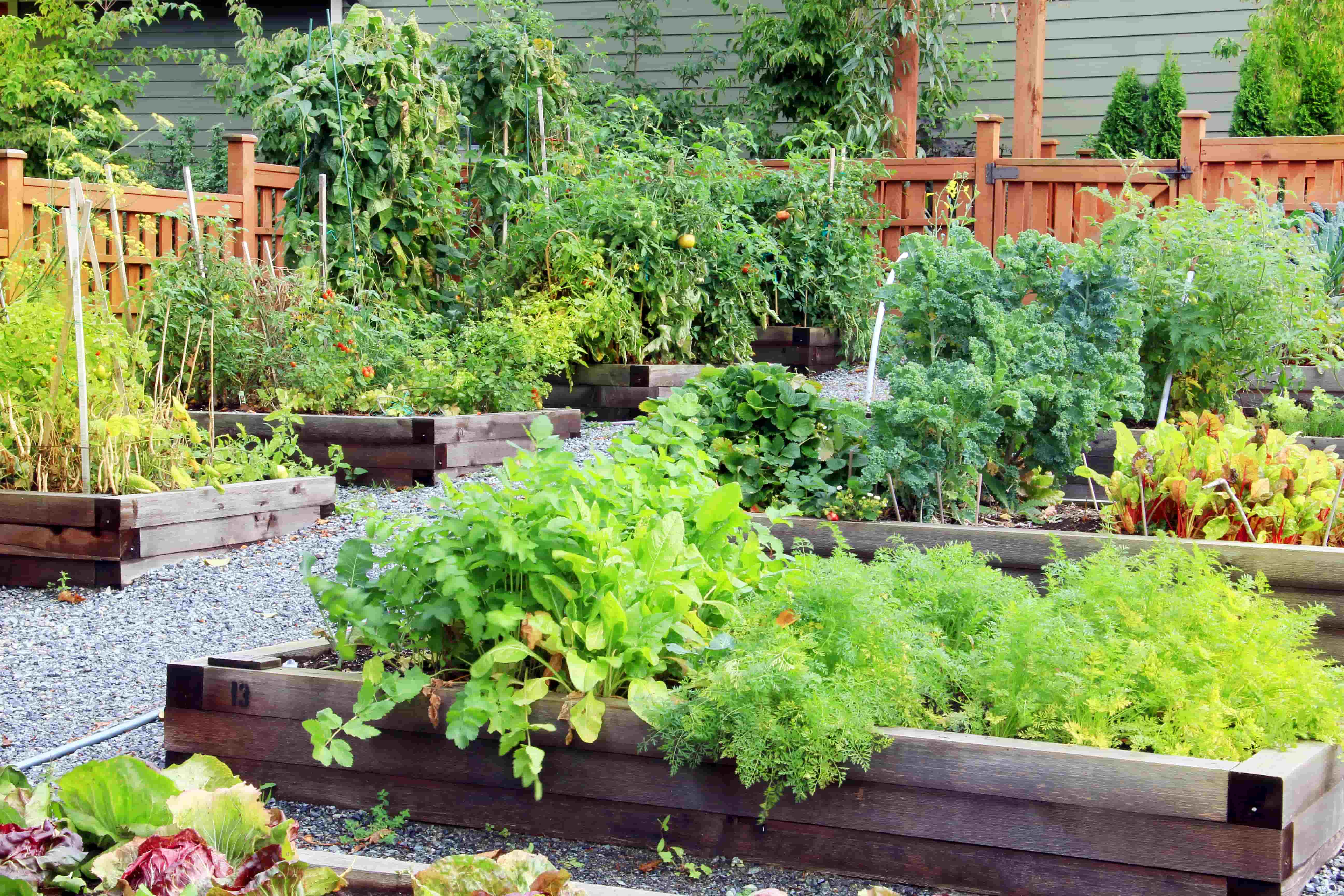 herb garden
