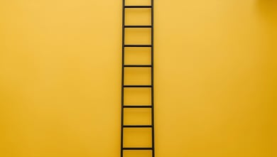 Future proof careers