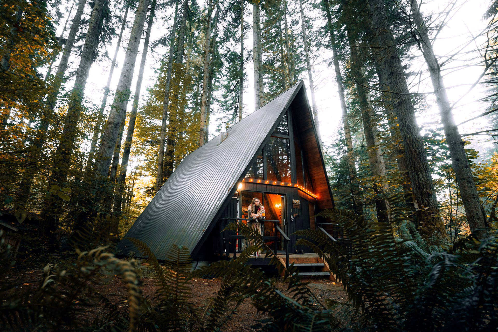 A cozy forest cabin