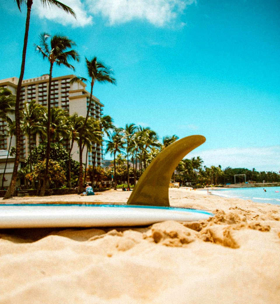 Surfing option at a hotel