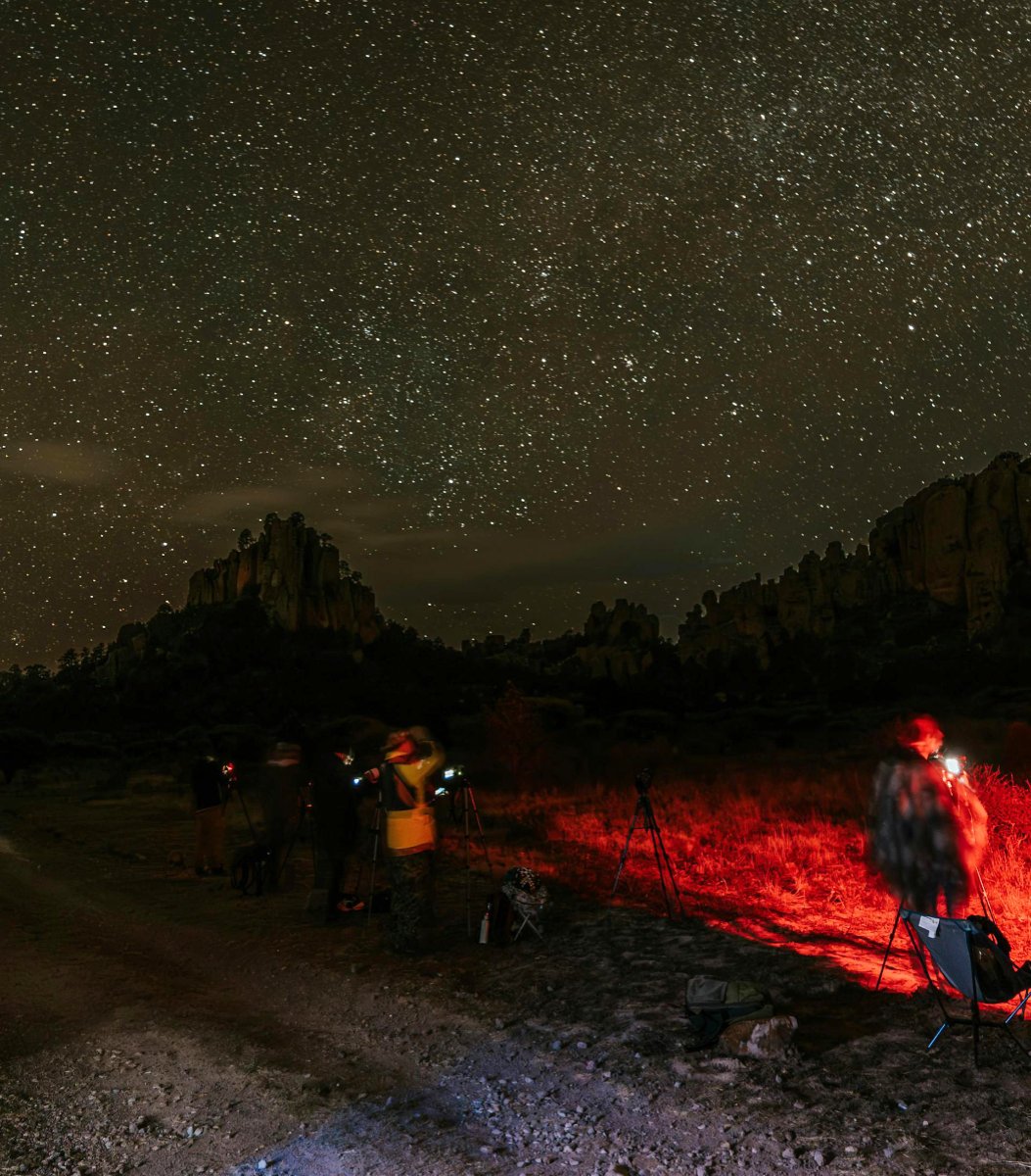 Night excursion
