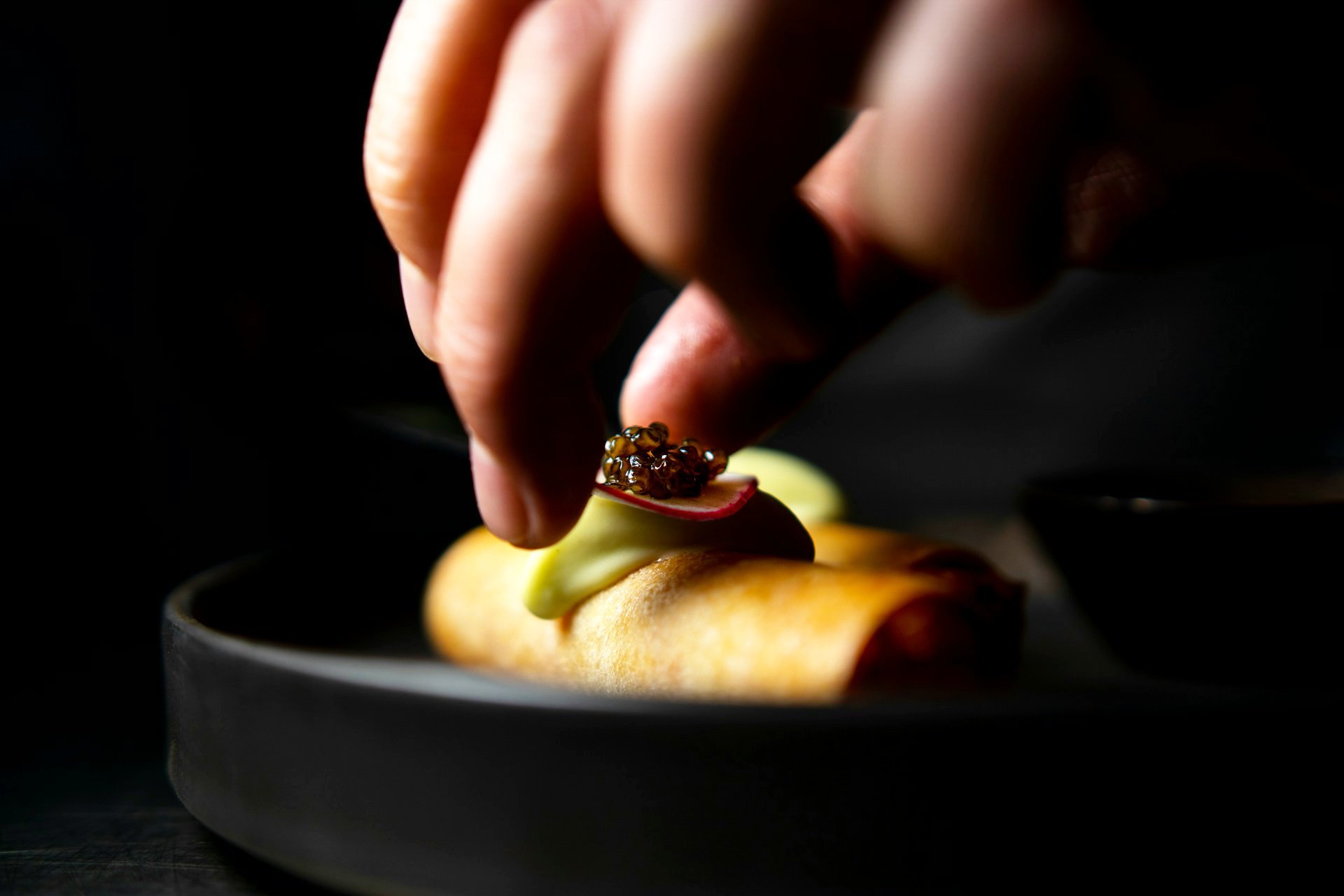 Professional food plating