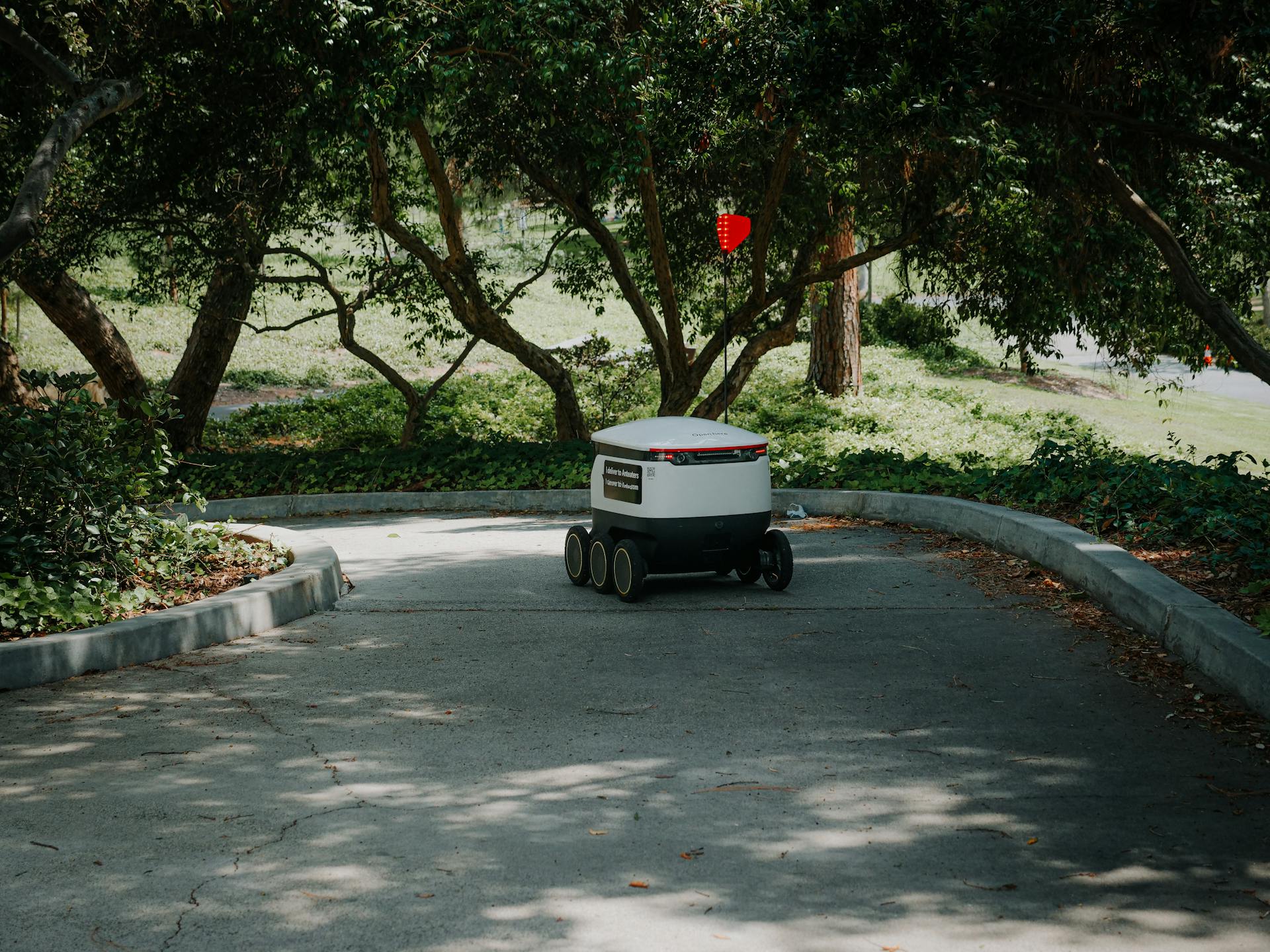 Customer service bot on the roam