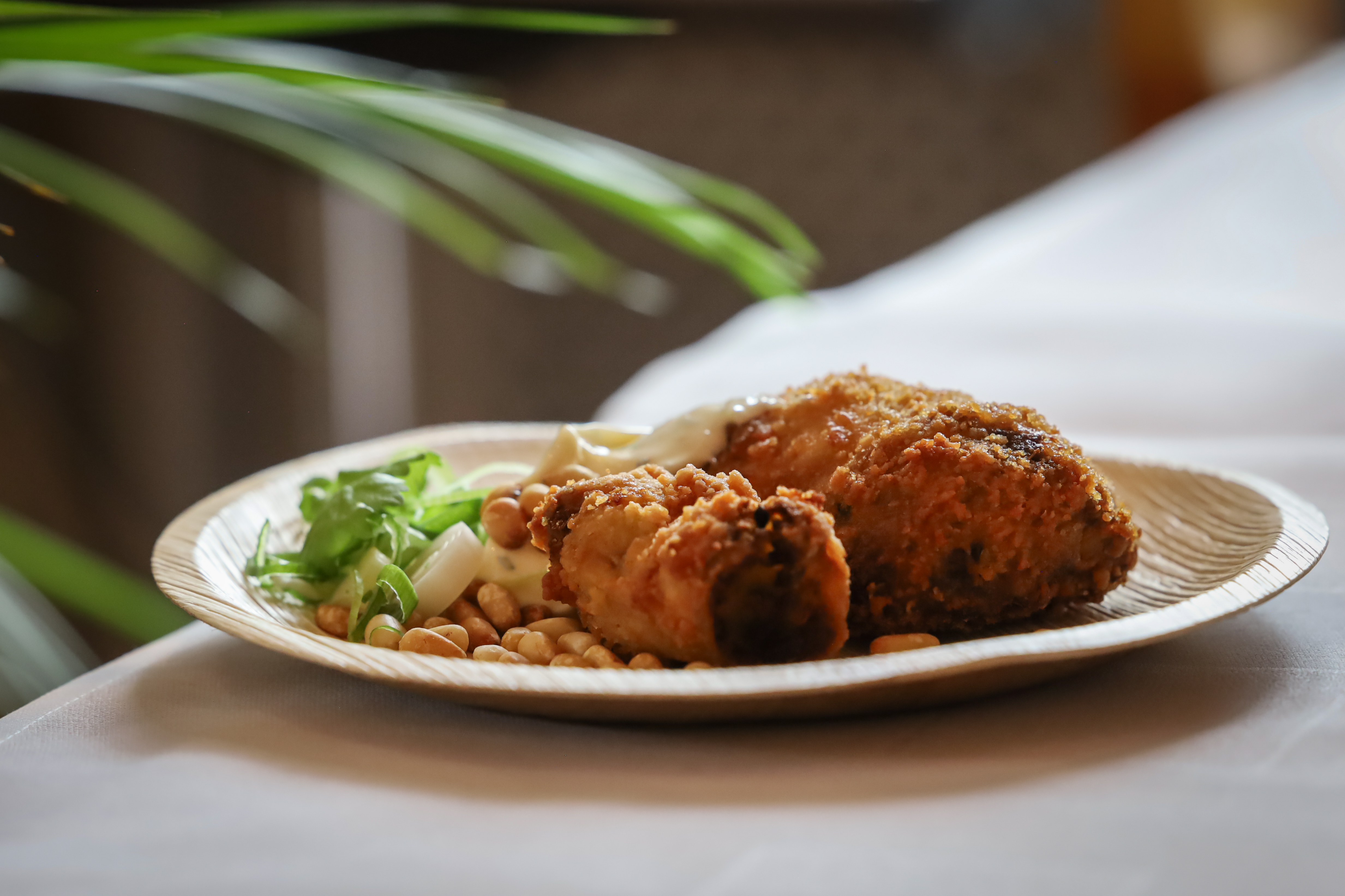 53998985209_0acd31cdd7_o