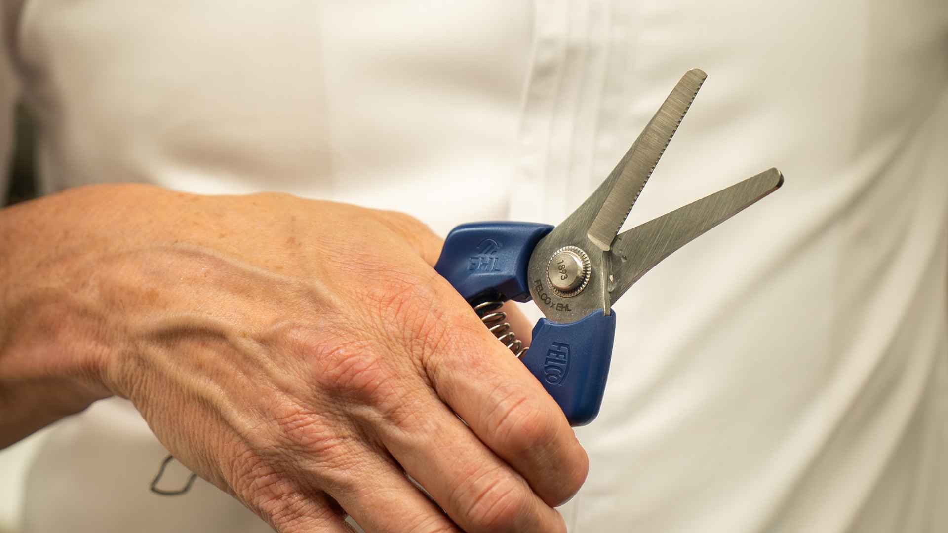 Felco 1893 Professional Culinary Shears