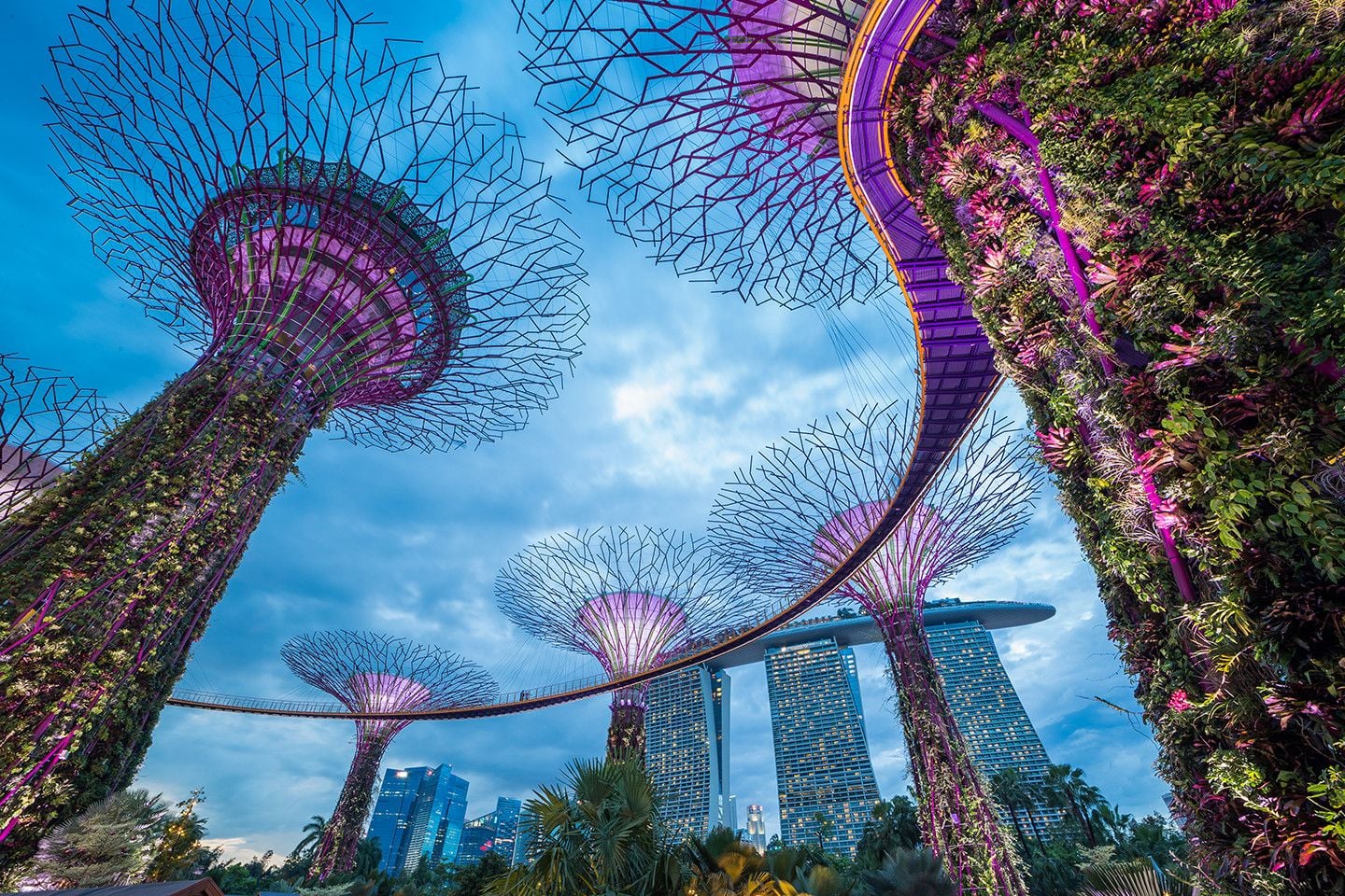 Internship-singapore-1