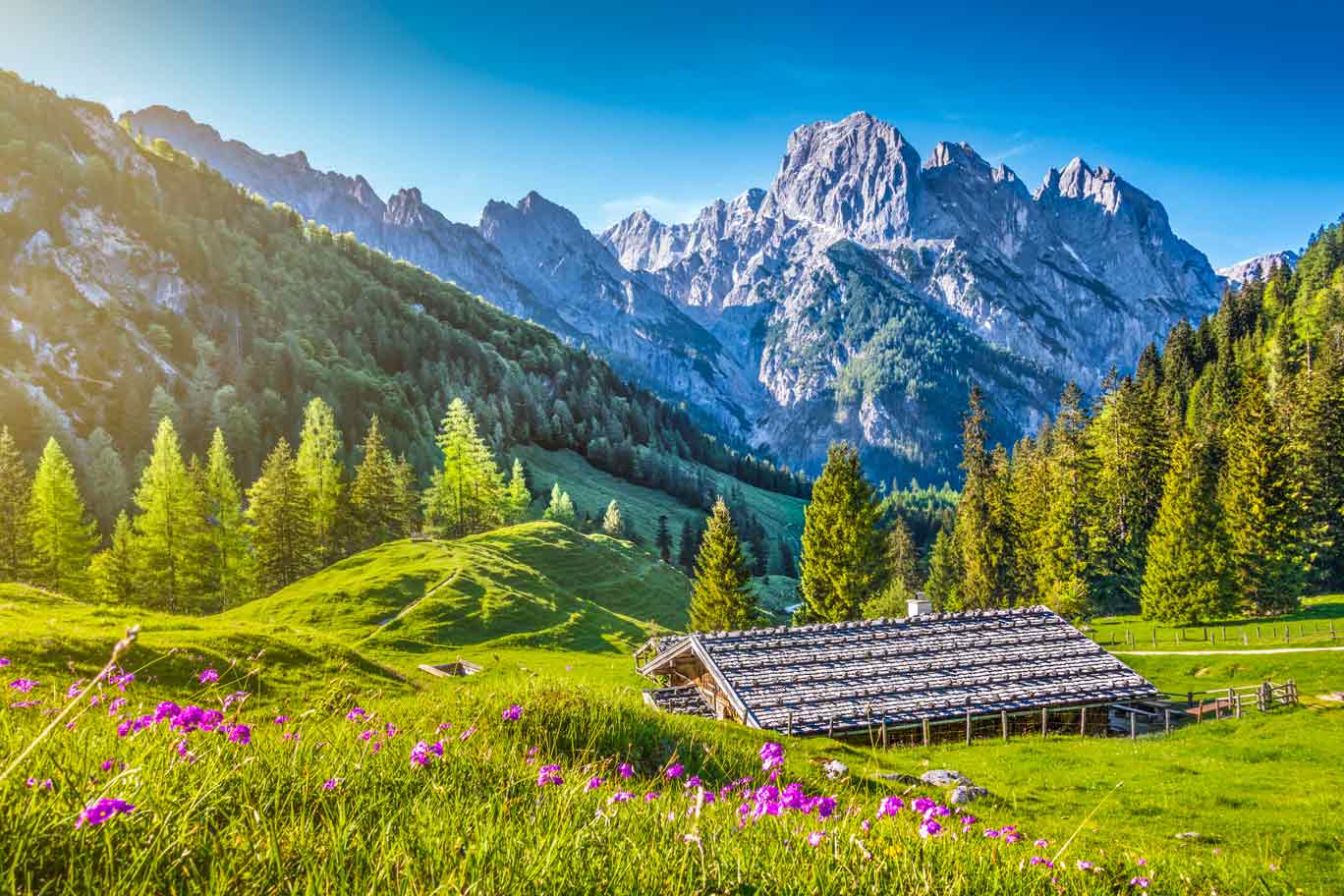 Sustainable Management specialization image, a hut in the alps