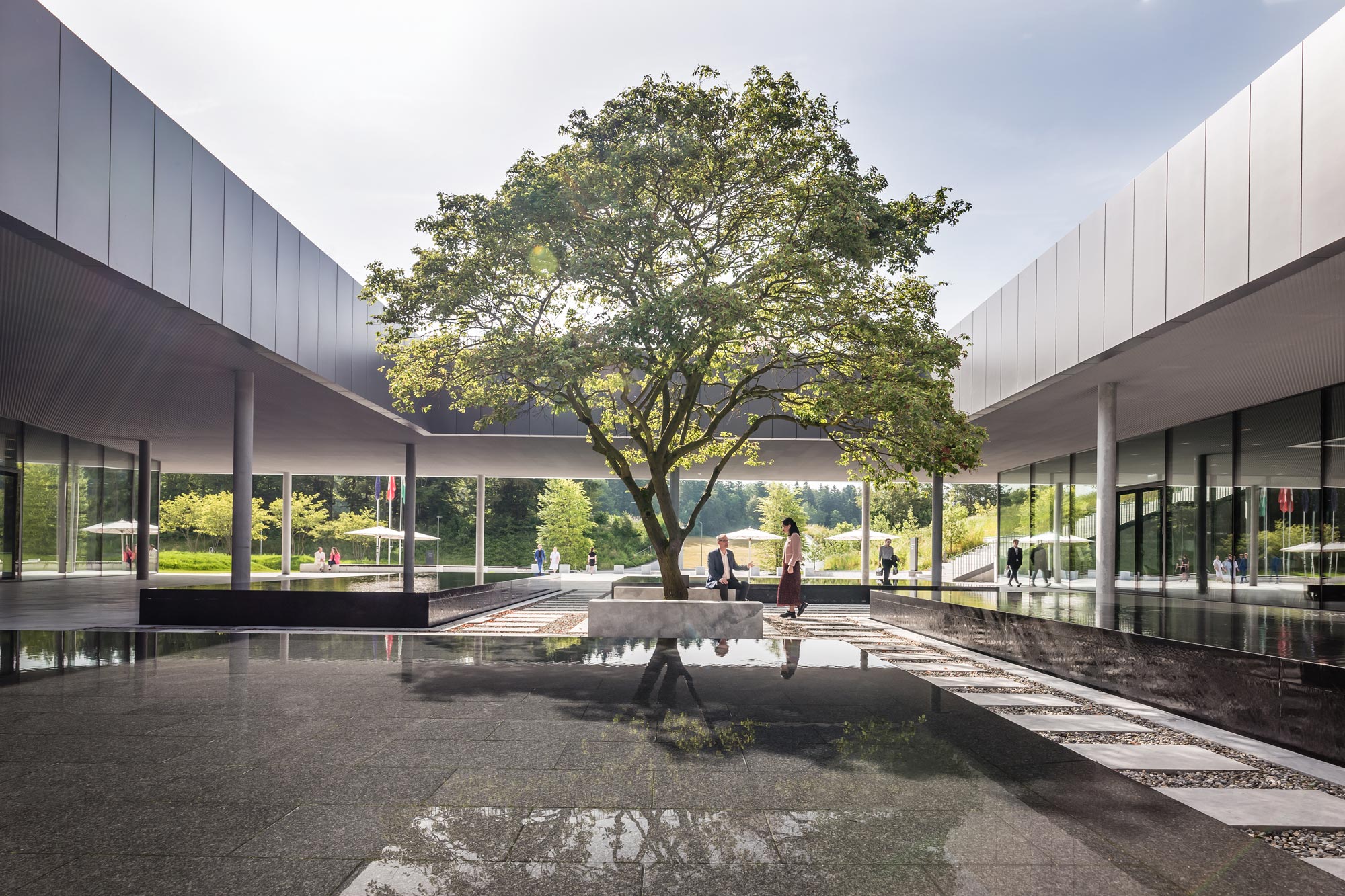 ehl-entrance-tree-relaxing